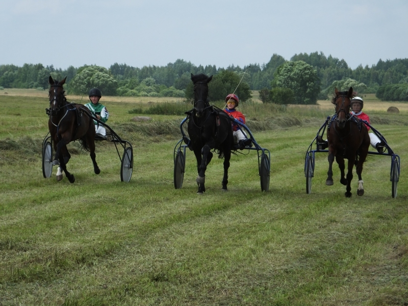 No kreisās puses: M. Brokāns ar zirgu Cheroke, A. Straujupa ar zirgu Vale Valk un S. Soikāne ar zirgu Power Lady. Foto: Inese Ruskule